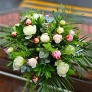 Peony Surpise