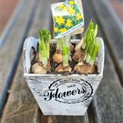 Rustic Spring Planter