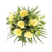 Classic Yellow Roses